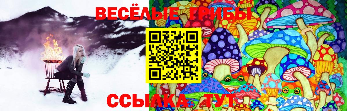 Кандалакша  Псилоцибиновые грибы GOLDEN TEACHER  Вход с VPN 